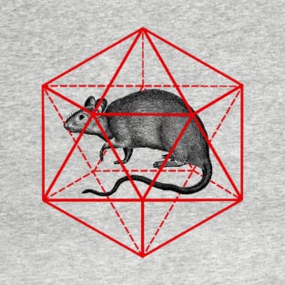 Rat in icosahedron T-Shirt